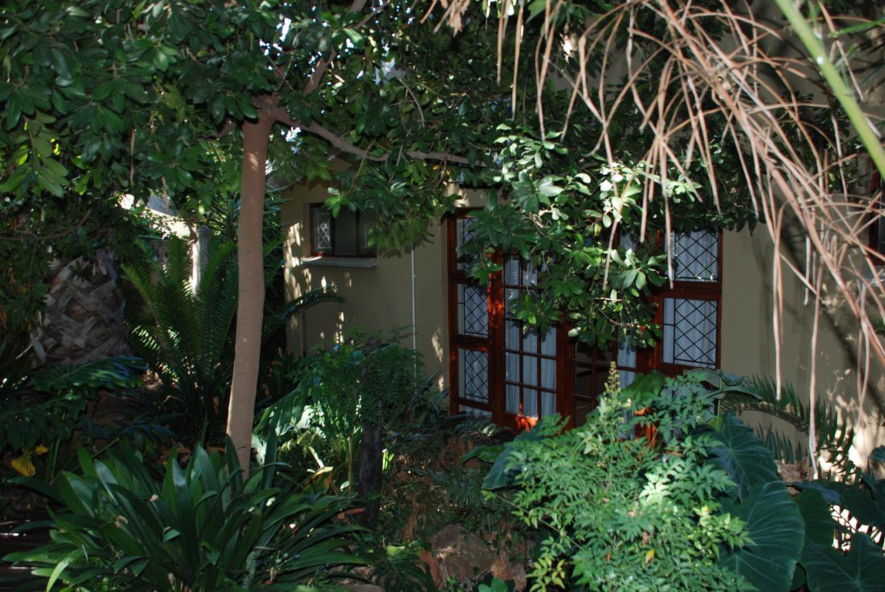 86 On Langenhoven Bed & Breakfast Oudtshoorn Esterno foto