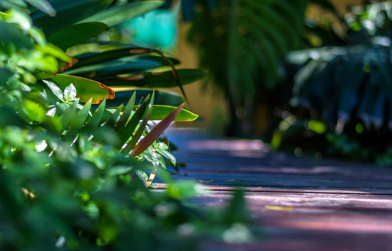 86 On Langenhoven Bed & Breakfast Oudtshoorn Esterno foto