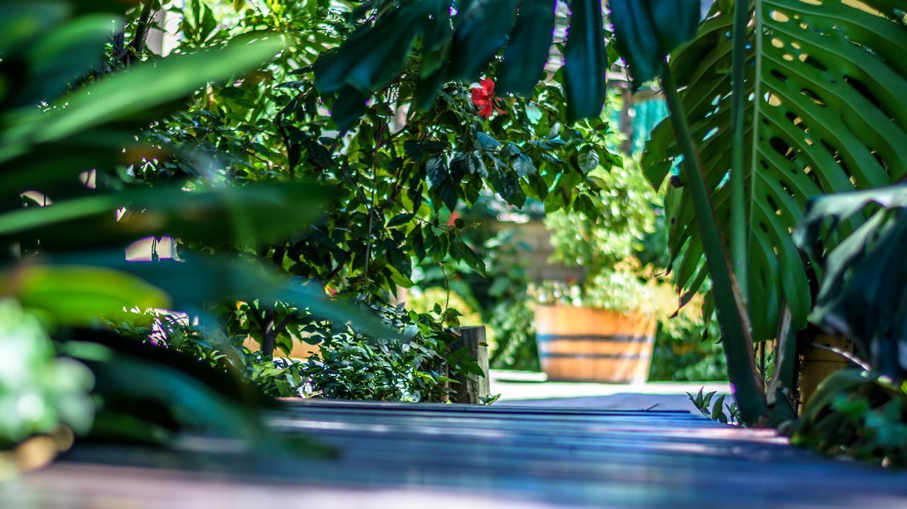 86 On Langenhoven Bed & Breakfast Oudtshoorn Esterno foto