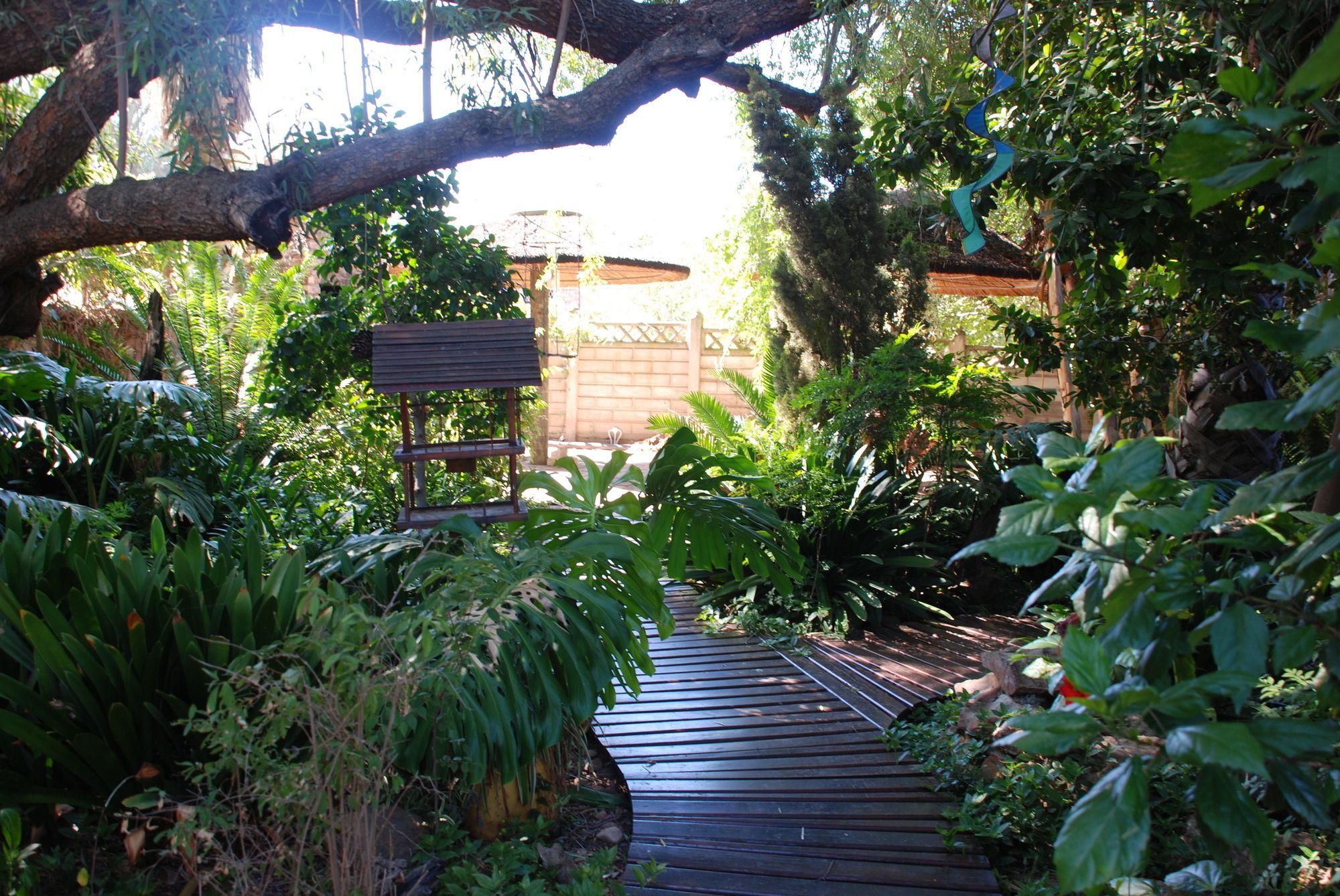 86 On Langenhoven Bed & Breakfast Oudtshoorn Esterno foto